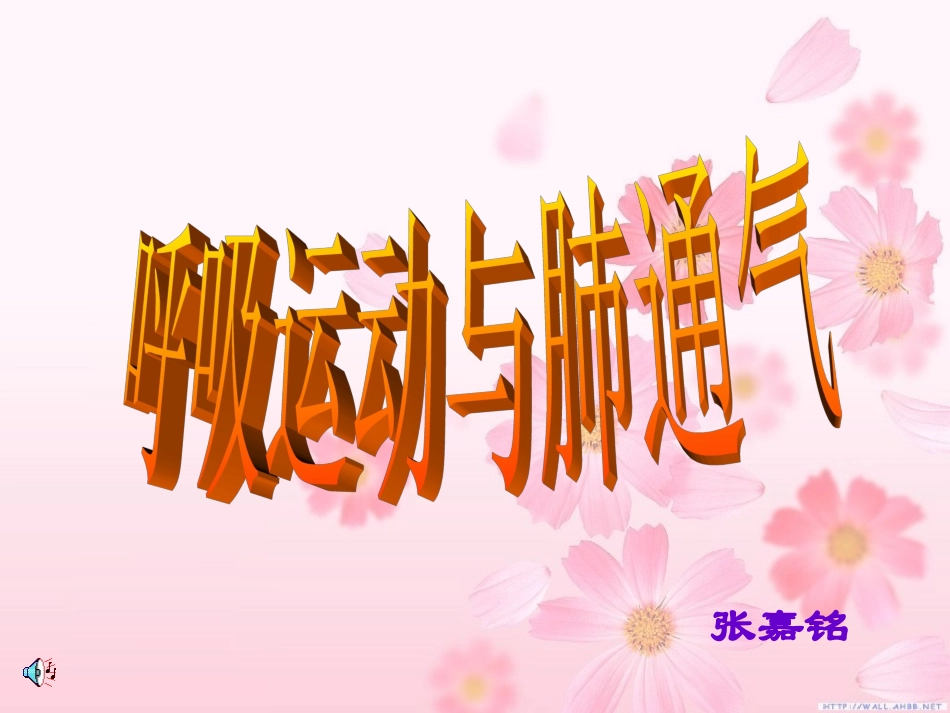 呼吸运动与肺通气_第1页