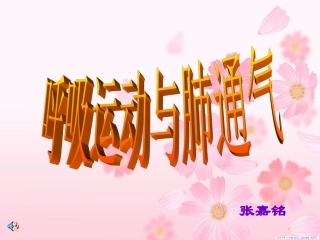 呼吸运动与肺通气