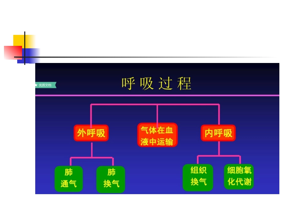 呼吸衰竭PPT_第3页