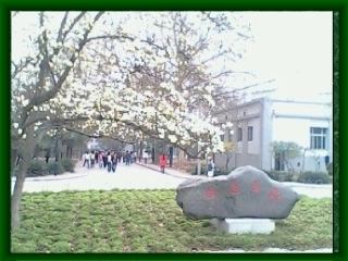 呼吸系统有关问题讨论