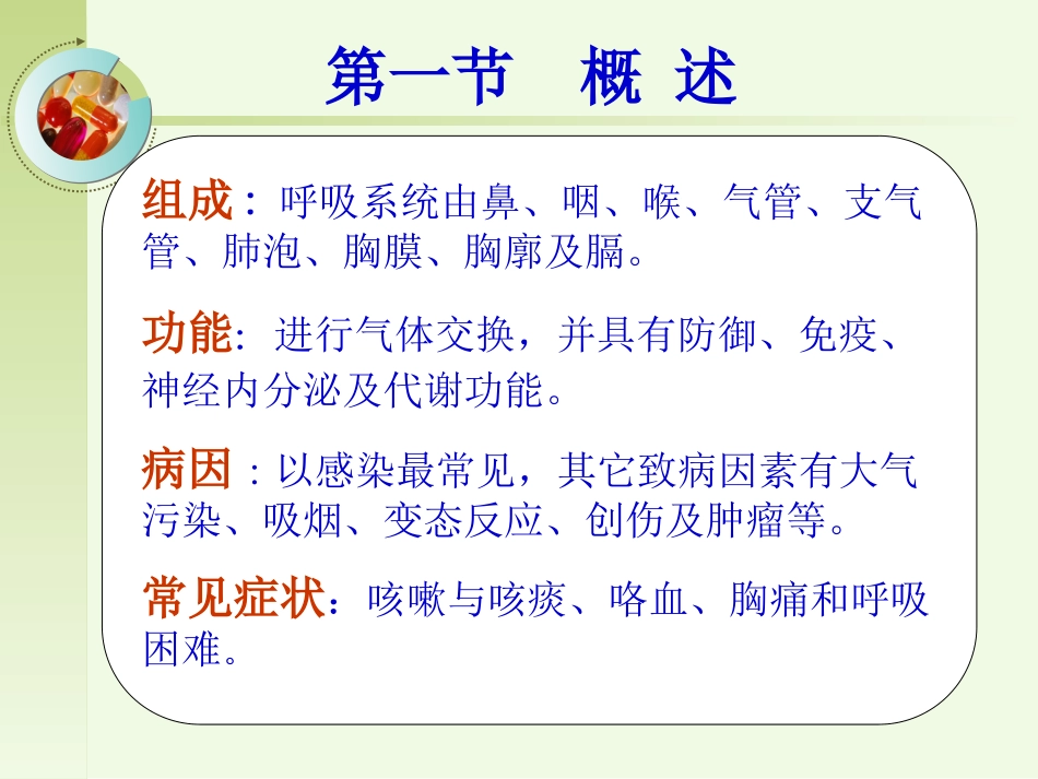 呼吸系统1第一节  概述_第2页