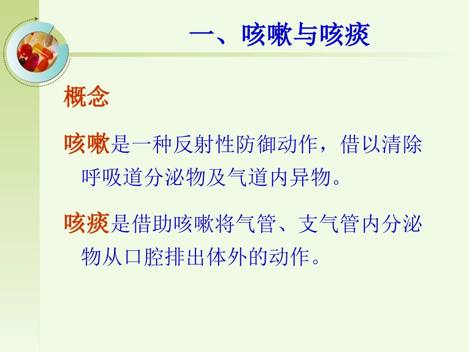 呼吸系统1第一节  概述_第3页