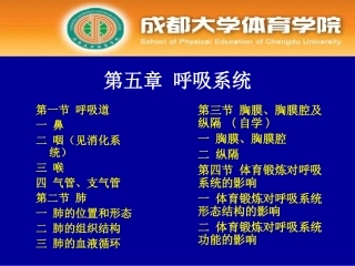 呼吸系统16概要