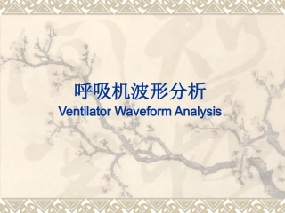 呼吸波形及环图分析分析