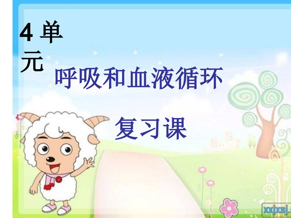 呼吸和血液循环复习课_第1页