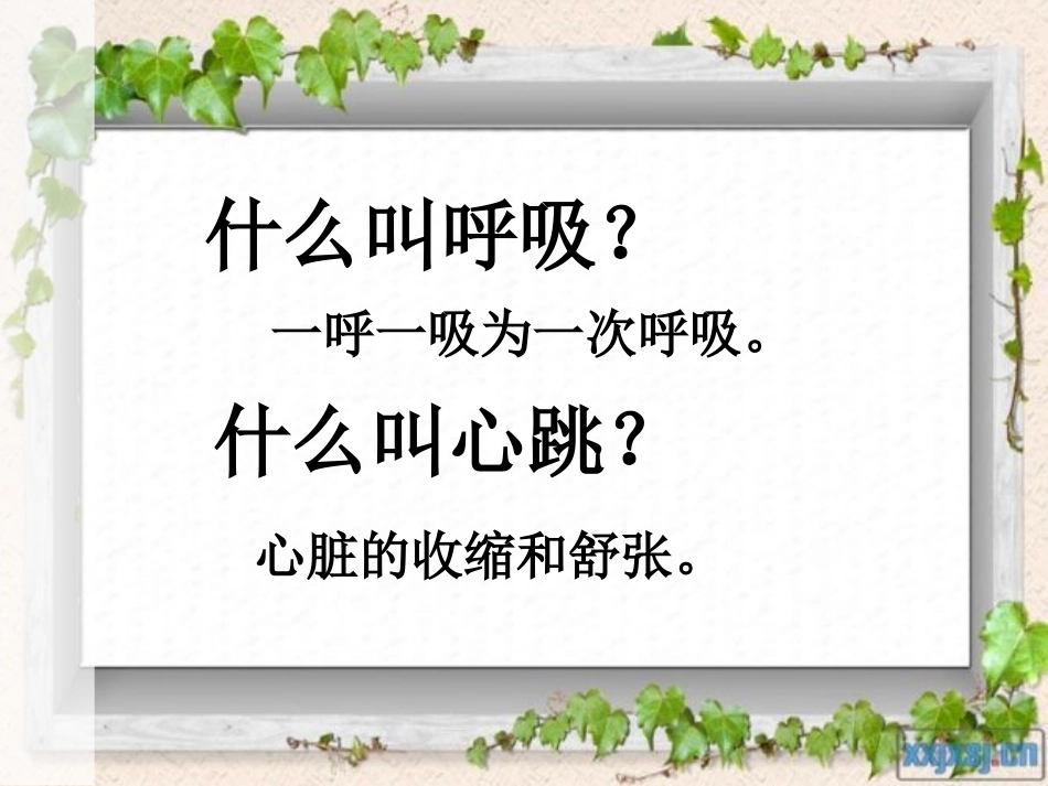 呼吸和血液循环复习课_第2页