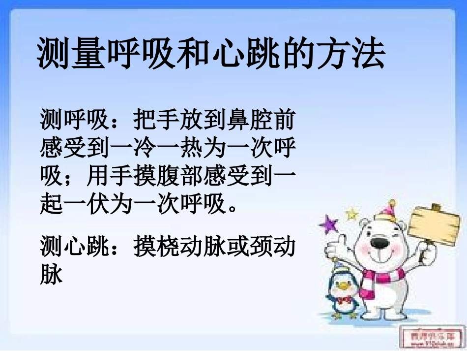 呼吸和血液循环复习课_第3页