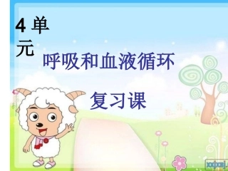 呼吸和血液循环复习课