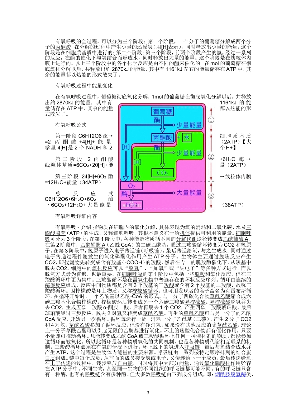 呼吸作用的全部过程_第3页