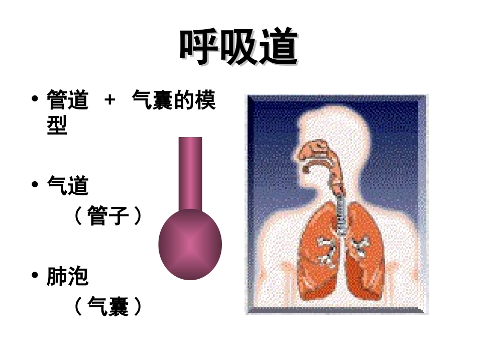 呼吸力学的监测_第2页