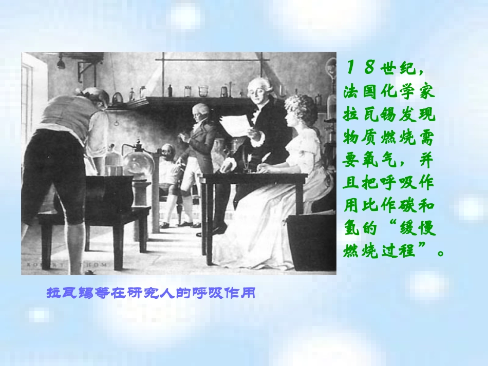 呼吸作用[1][1]概述_第2页