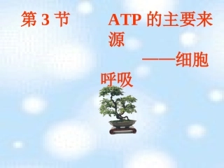 呼吸作用[1][1]概述