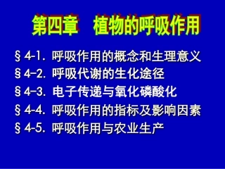 呼吸作用的概念和生理意义