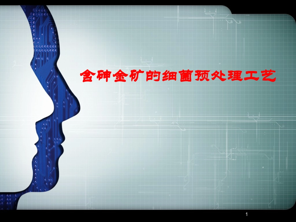 含砷金矿的细菌预处理工艺_第1页