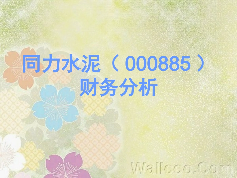 同力水泥财务分析2_第1页