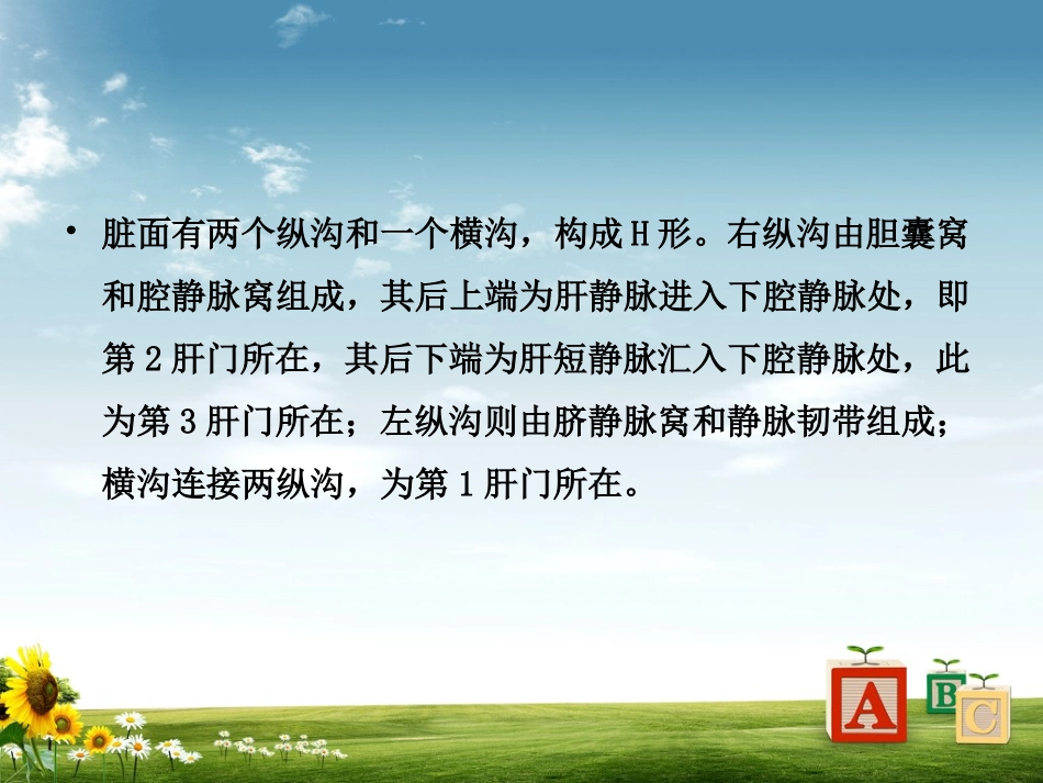 右肝癌根治术_第3页