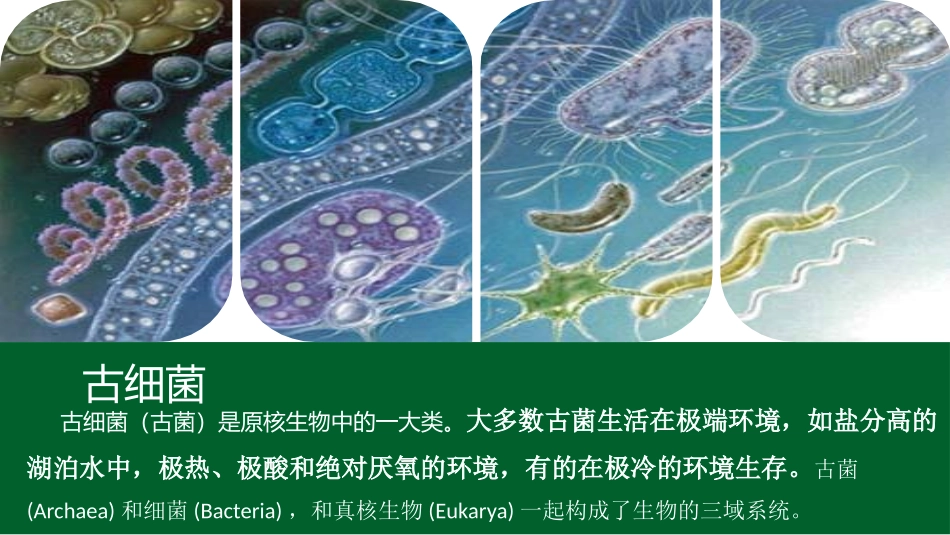 古菌域和细菌的区别_第2页