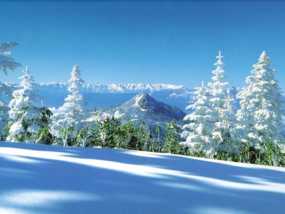 口腔种植修复_第2页