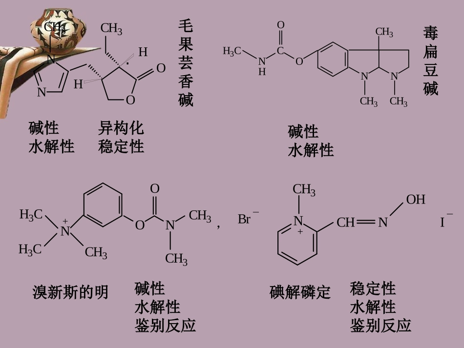 叔胺类解痉药_第2页