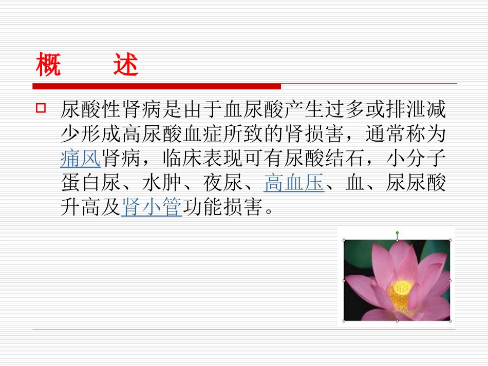 发病机制---高尿酸血症的产生-南昌大学第二附属医院_第3页