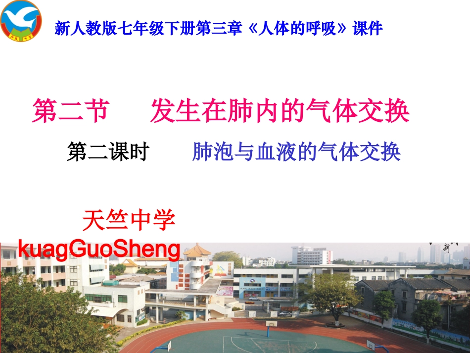 发生在肺泡内的气体交换2_第1页