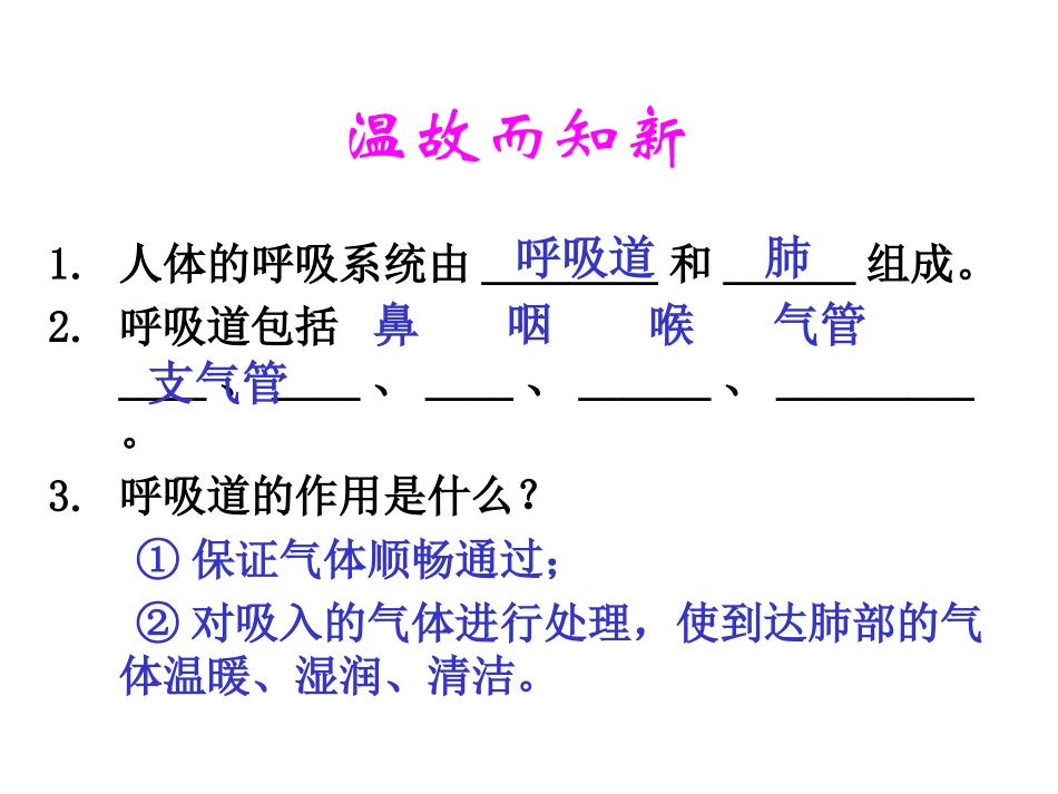 发生在肺泡内的气体交换2_第2页