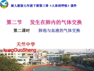 发生在肺泡内的气体交换2