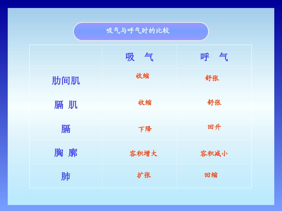 发生在肺内的气体交换2_第1页