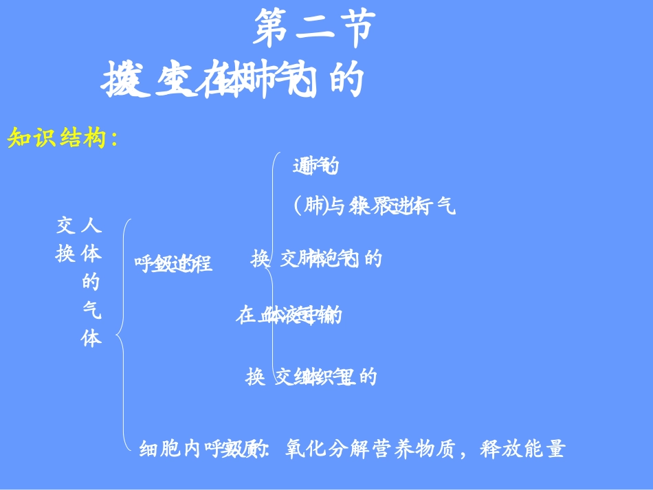 发生在肺内的气体交换2_第2页