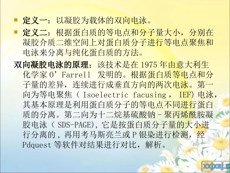 双向凝胶电泳技术_第2页