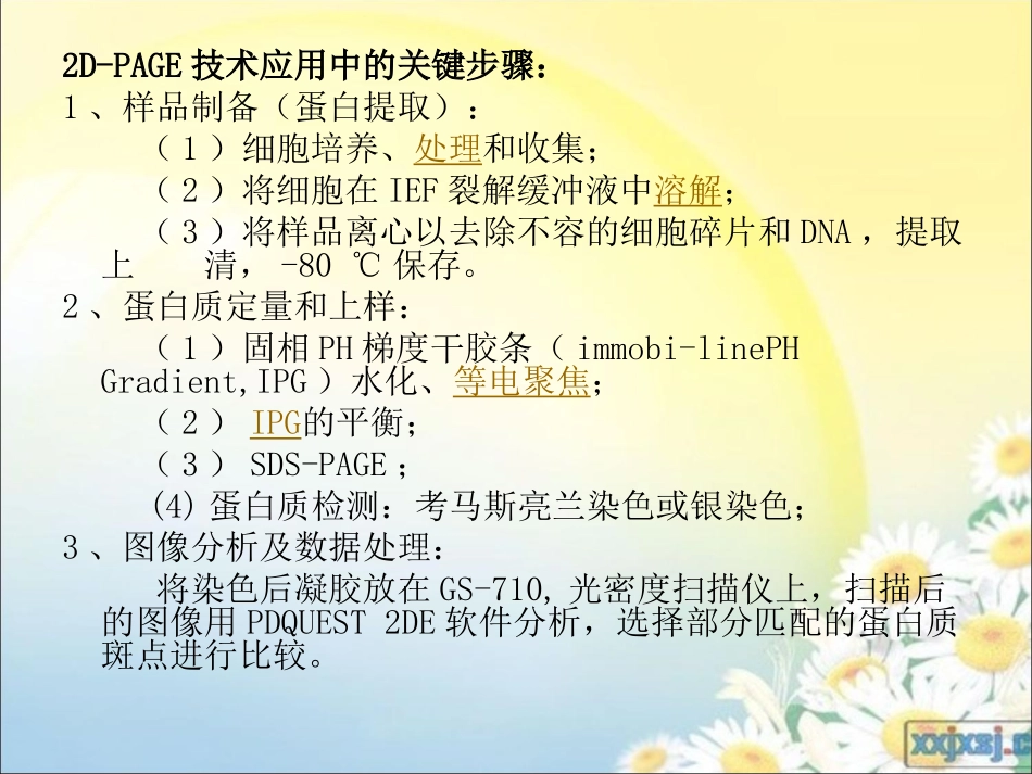 双向凝胶电泳技术_第3页