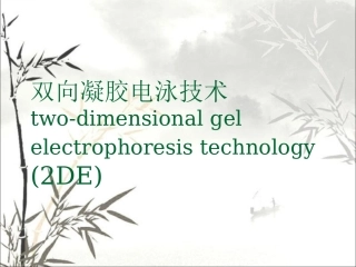 双向凝胶电泳技术