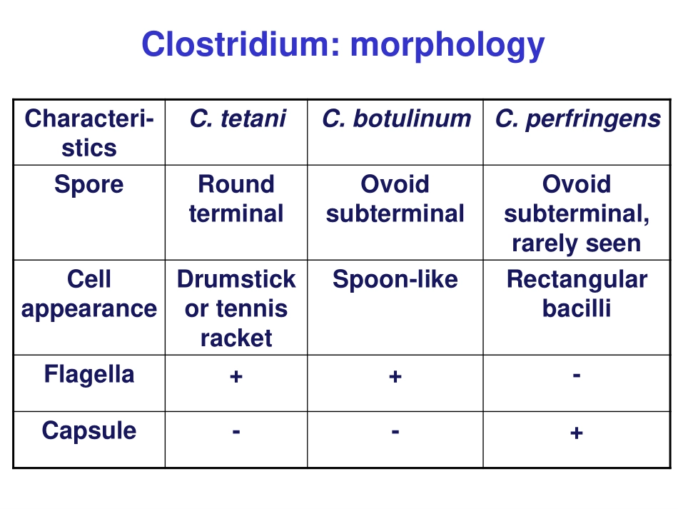 厌氧芽孢梭菌-李杰_第3页