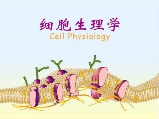 南农 生理学 01章细胞生理