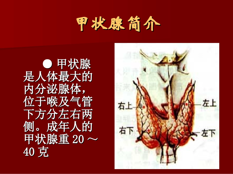 单纯性甲状腺肿PPT_第1页