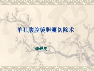 单孔腹腔镜下胆囊切除术