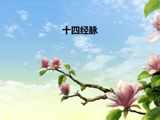 十四经脉任、督、心包