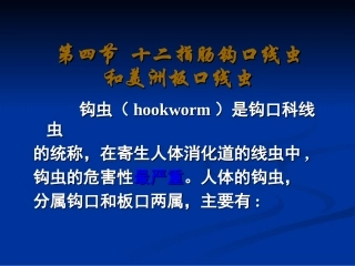 十二指肠钩口线虫和美洲板口线虫