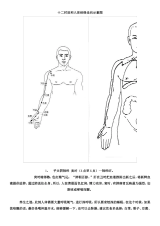 十二时辰和人体经络走向示意图