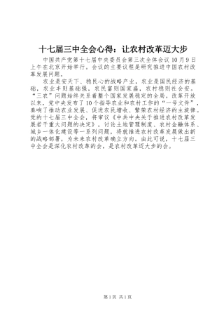 十七届三中全会心得：让农村改革迈大步