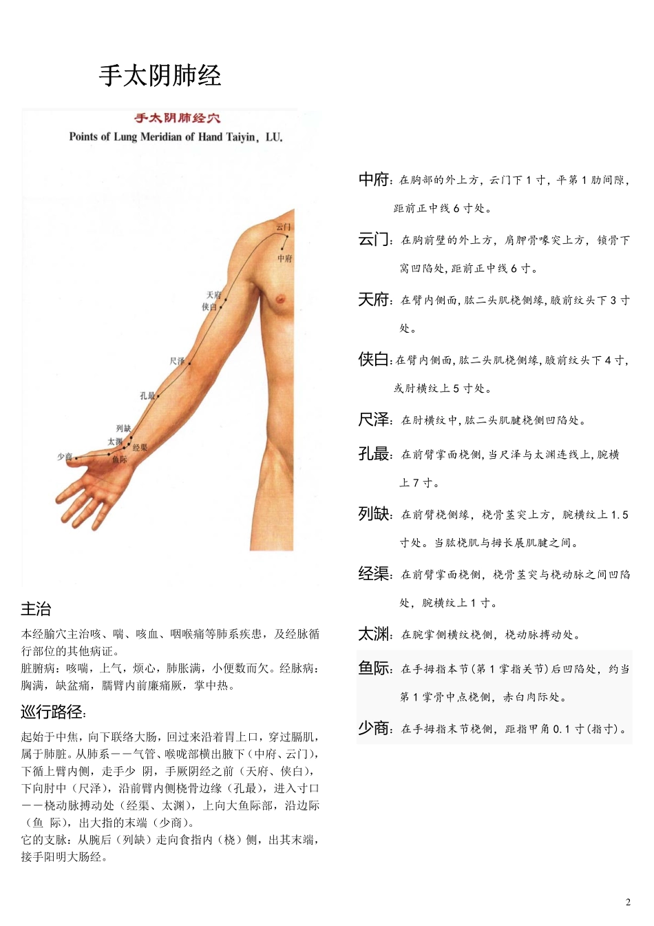 十二经脉穴位定位_第2页