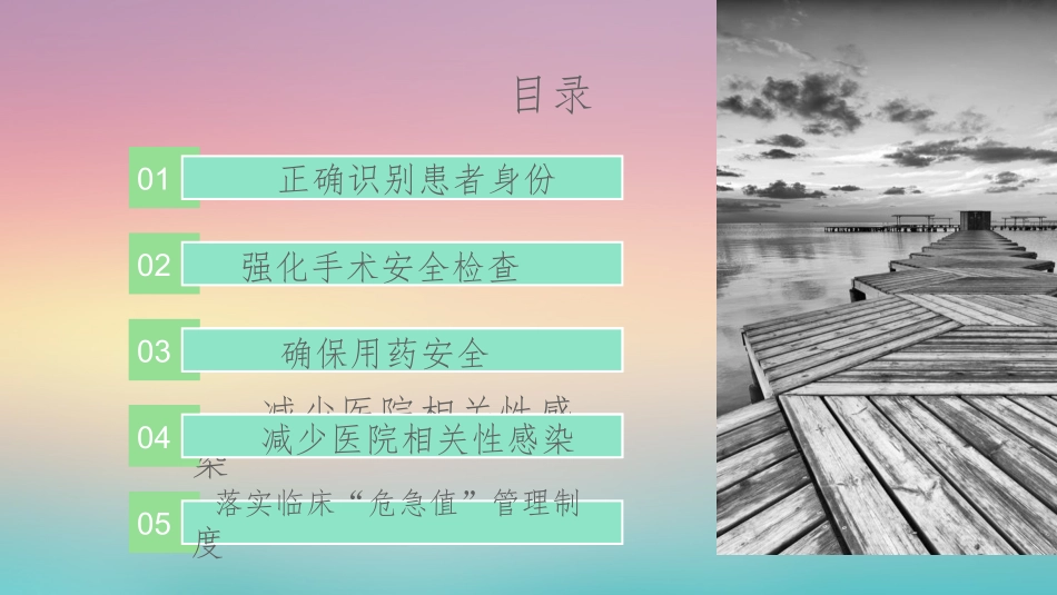 医院患者安全十大目标ppt_第2页