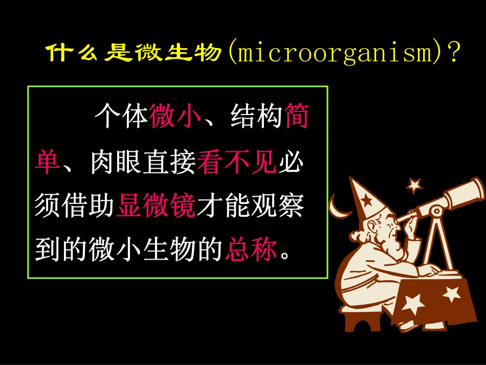 医用微生物学-PDF_第2页
