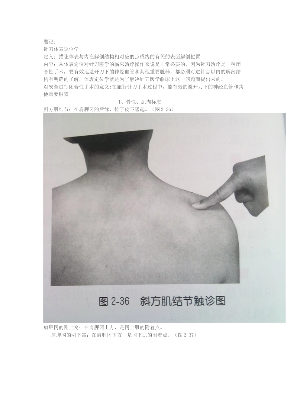 医生必须掌握的体表定位之肩部_第1页