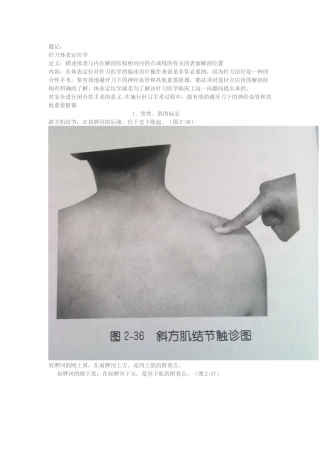 医生必须掌握的体表定位之肩部