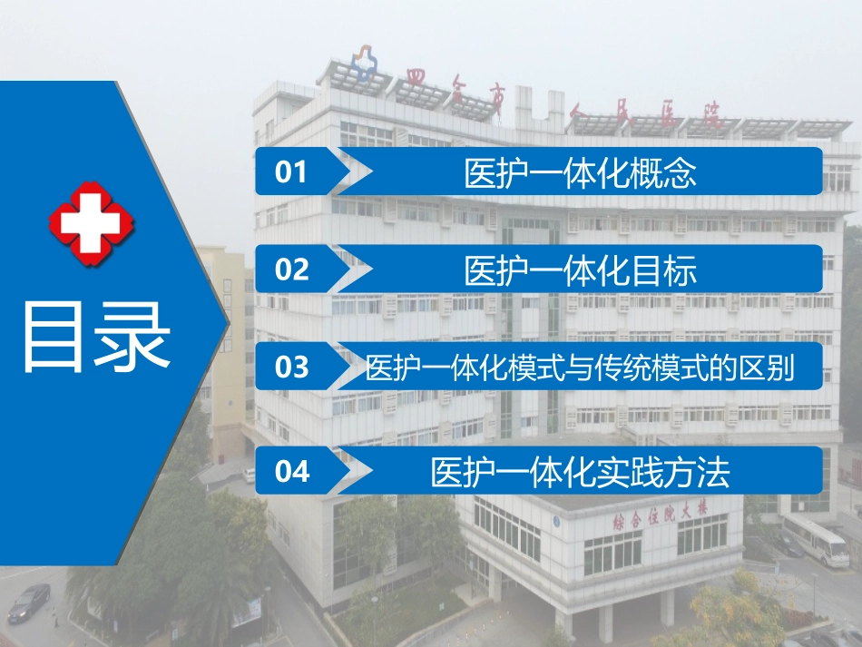 医护一体化模式_第2页