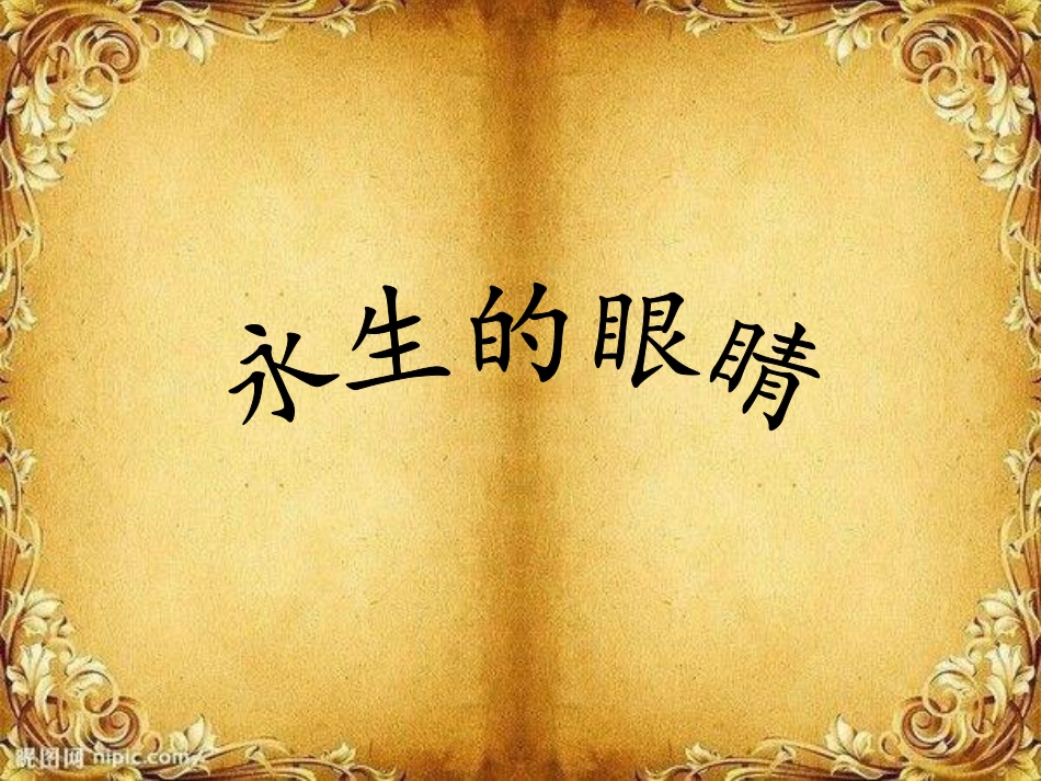 北师大版小学四年级下册语文《永生的眼睛》课件PPT_第3页