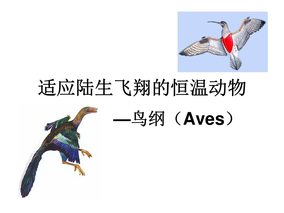 北京大学动物生物学2009_15_第1页