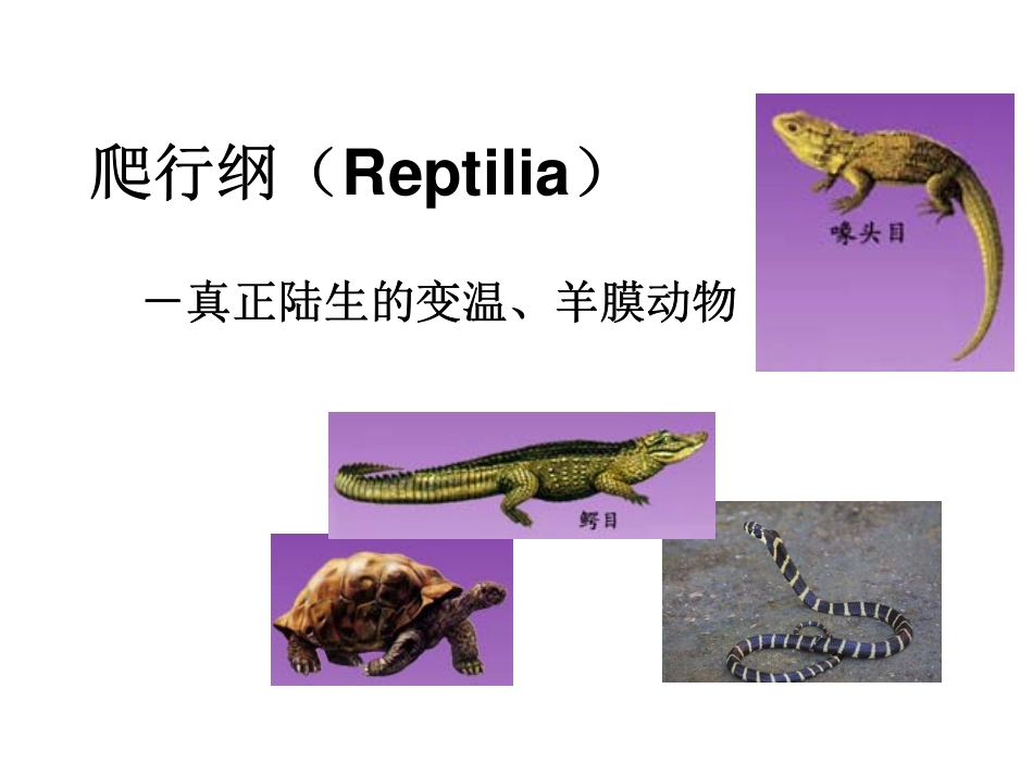 北京大学动物生物学2009_14_第1页