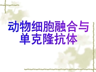 动物细胞融合与单克隆抗体(共20张PPT).